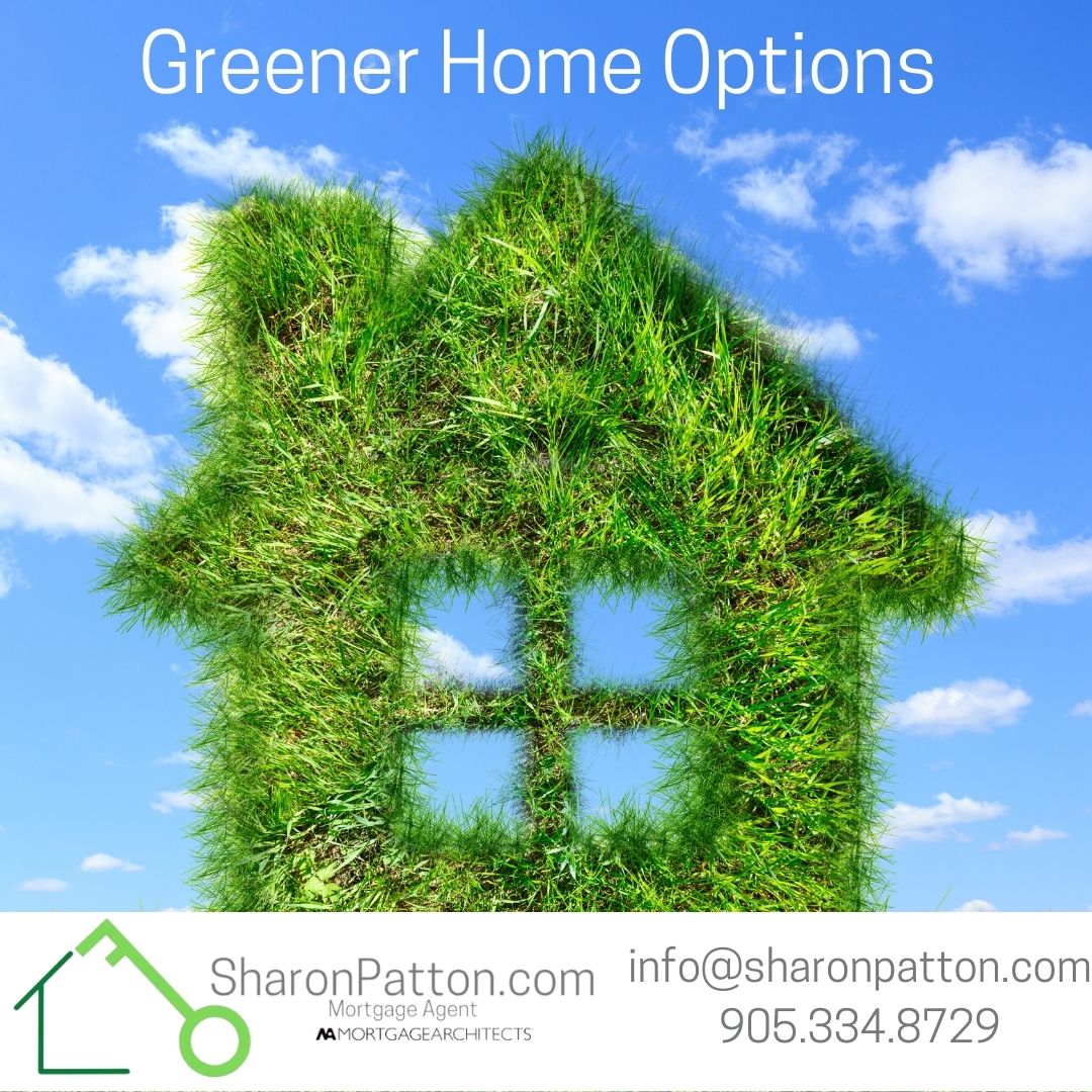 Shopping For a Greener Home 